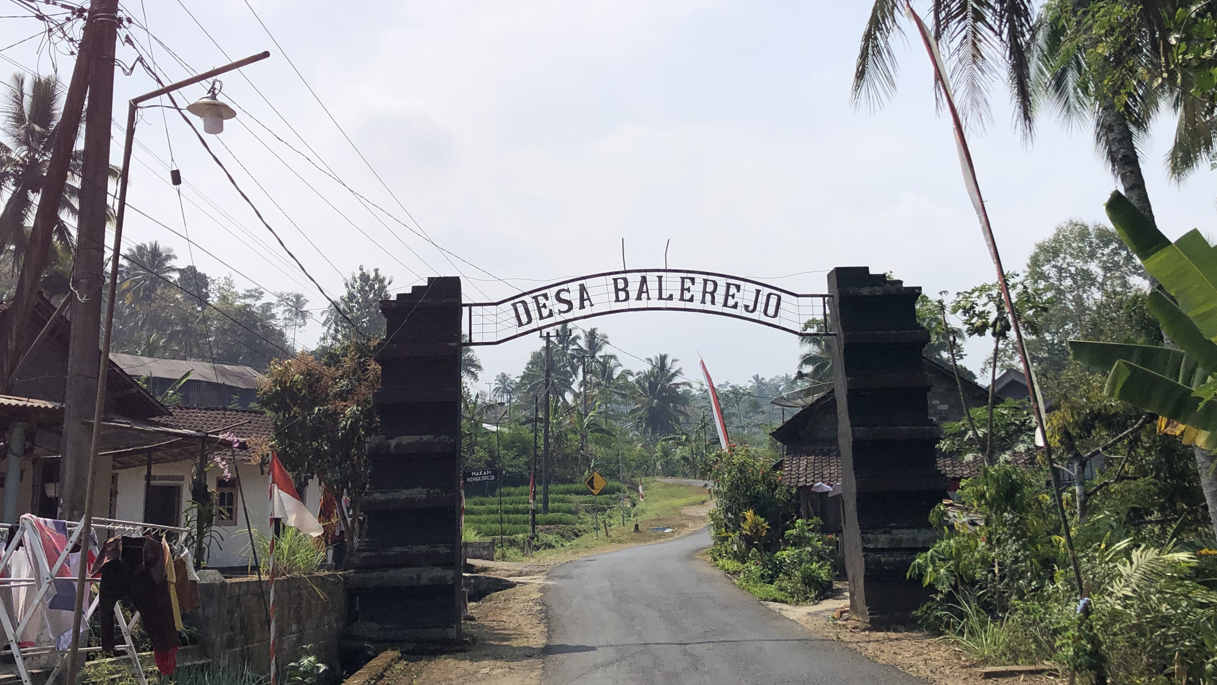Pemandangan udara Desa Balerejo